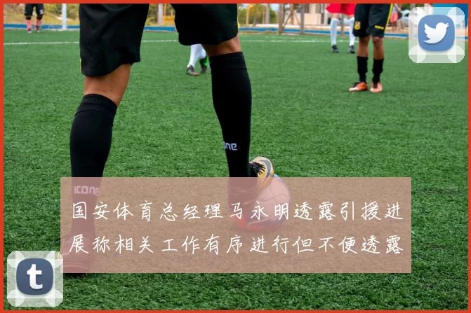 国安体育总经理马永明透露引援进展称相关工作有序进行但不便透露名字